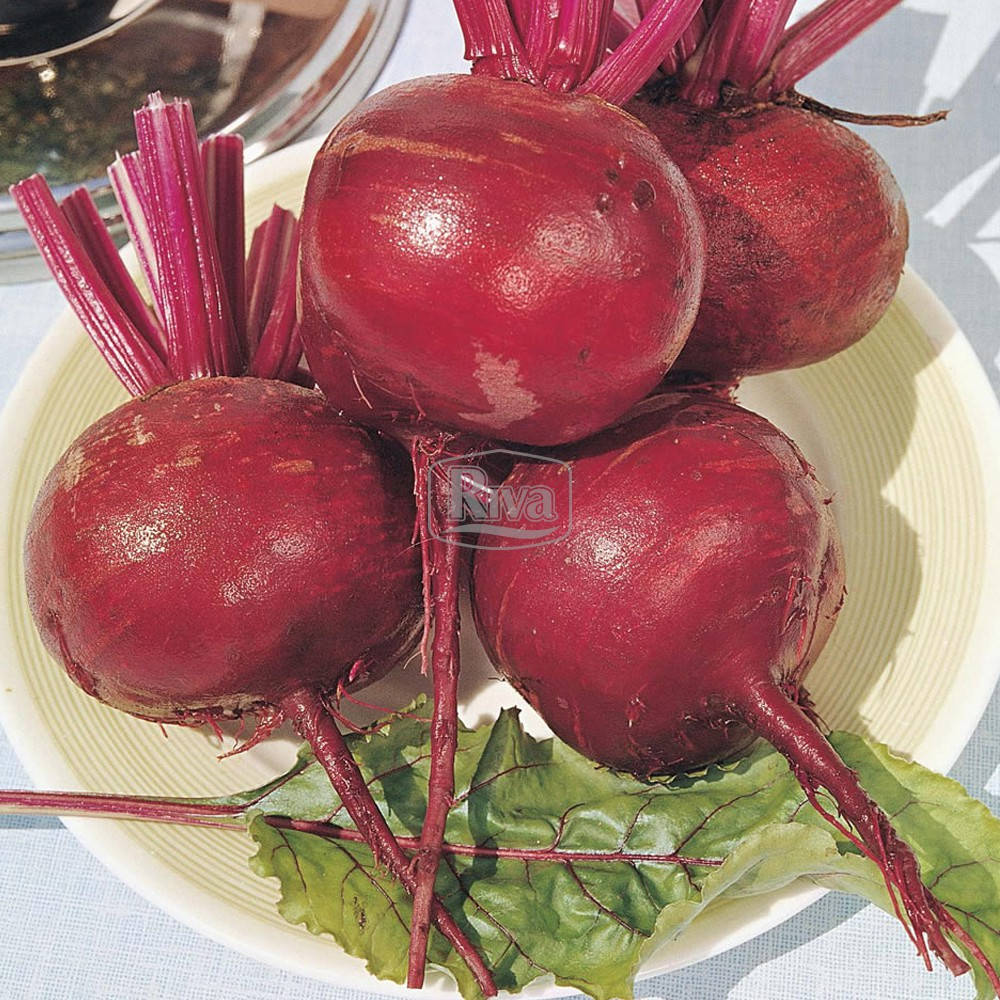 

Семена Свекла столовая Округлая темно-красная 20 граммов Riva