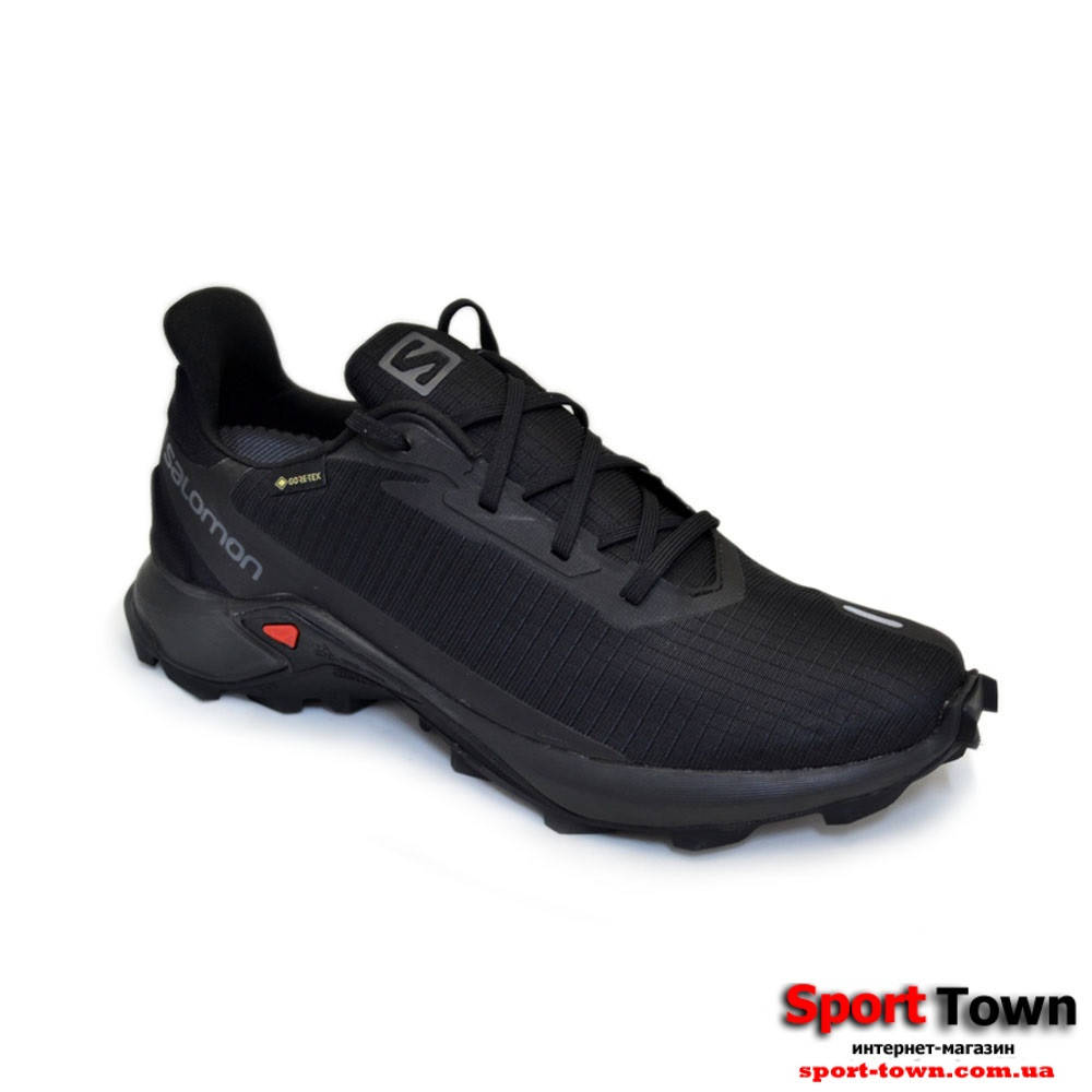 

Salomon Alphacross 3 GTX 414466 Оригинал
