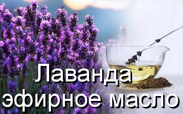 

Лаванда-эфирное масло(Германия)-10 мл