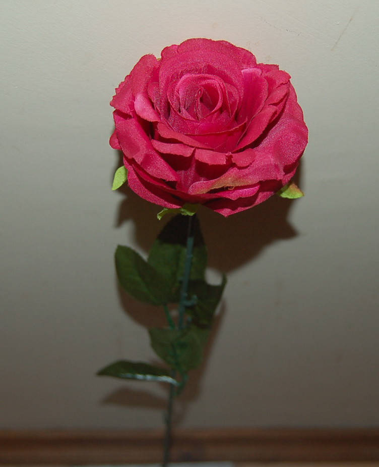 

М-506 Роза одиночная "Доротея" 10х65 см