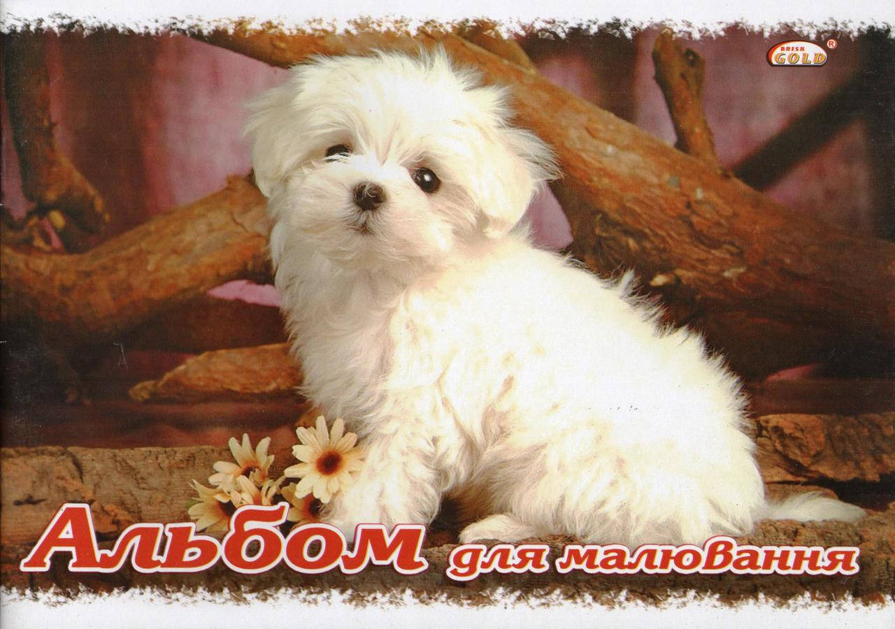 

Альбом для рисования 20 листов А4