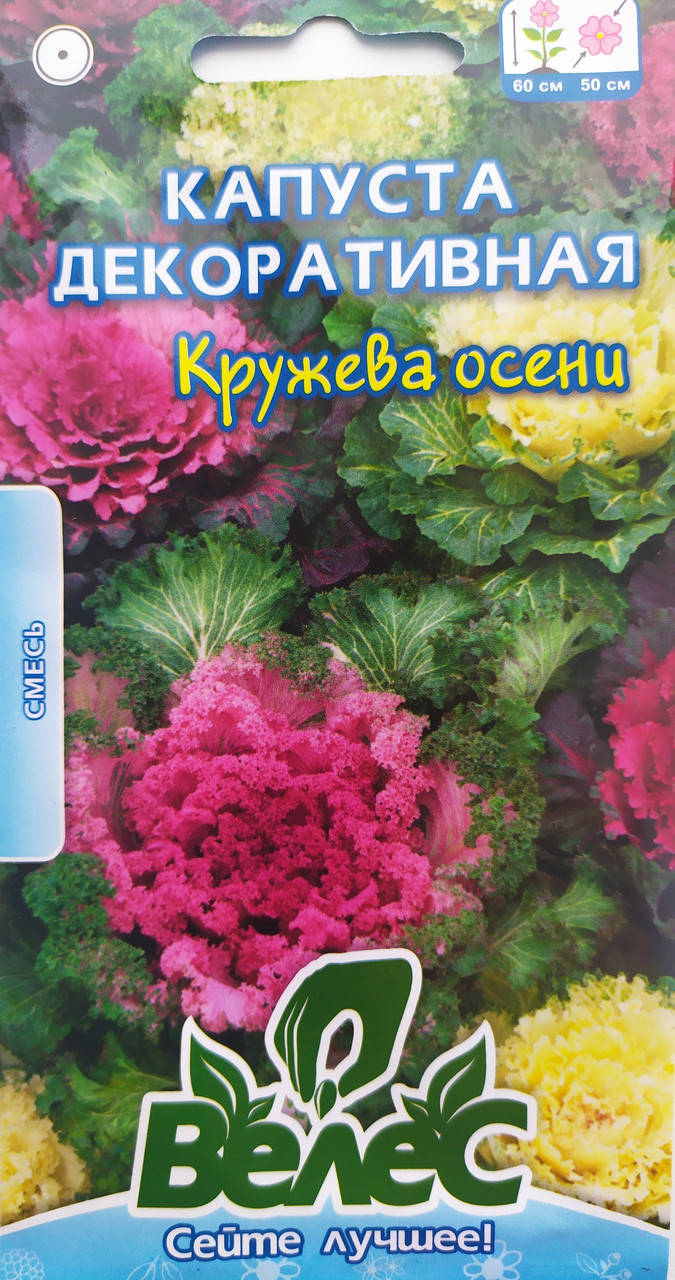 

Капуста декоративна Мережива осені