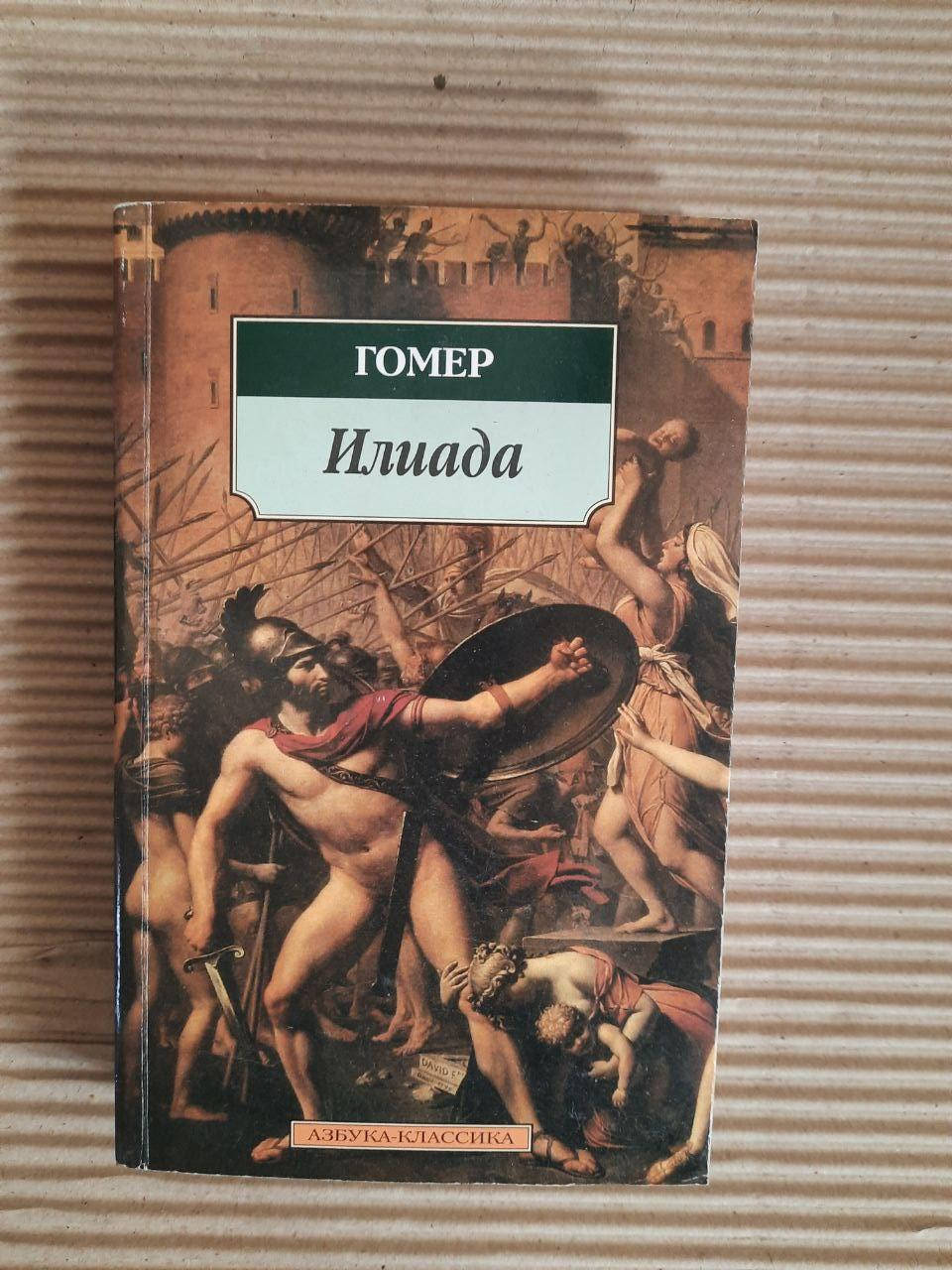 

Гомер. Илиада. Санкт- 2008 год