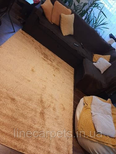 Недорогий ворсистий килим SHAGGY DE LUXE  8000-136, фото 1