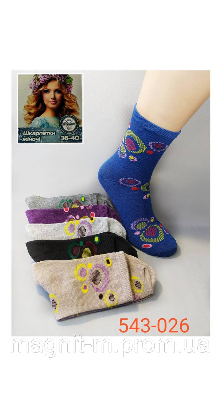 Шкарпетки жіночі стрейчеві "ДУКАТ". №543.