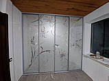 Шафа купе піскоструй на склі Київ і область, фото 5