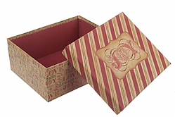 Подарункова коробка 20,2 см х 16 см.