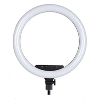 Кільцева LED-лампа AL-360 36 см з тримачем для телефона та пультом