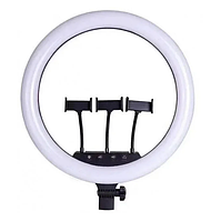 Кільцева LED-лампа 45 см з пультом ДК 3 тримача RING FILL LIGHT SLP-G500