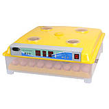 Інкубатор автоматичний Tehnomur MS-98 + інвертор, фото 5