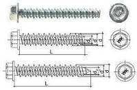 Гвинт для будівельних матеріалів з шестигранною голівкой WB6 6.3х35(250шт)
