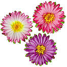 Букет штучних квітів Астра техцветная , 52 см, фото 3