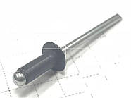 Заклепка 4,0x8,0 пофарбована RAL 7024 500 шт