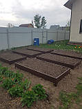 Грядки на дачу металеві, Грядки оцинкованні з ніжками., фото 2