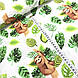 Бавовняна тканина Польська, лінивці з зеленим листям папороті на білому, фото 2