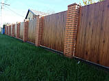 Профнастил для огорожа, Паркан з профнастилу, Профнастил на паркан, Профнастил Завод., фото 9