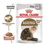 Royal Canin Ageing +12 в соусі 85 г*12 шт. — паучі для котів віком від 12 років