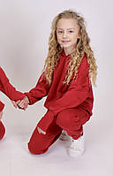 Дитячий трикотажний спортивний костюм р.116-134 (код 42300-00) демісезонний.