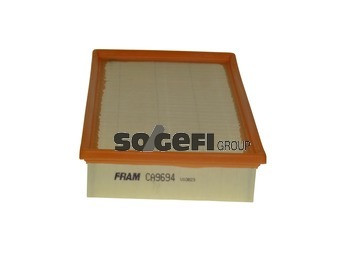 Фільтр повітряний FRAM (CA9694) 6244081710, AG1482/FRA FILTER ENGINE AIR CA9694 FRM
