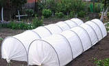 Парник теплиця 15 м мінітеплиця 50 г/м2, фото 7