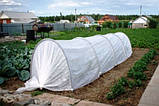 Парник 8 м мінітеплиця 60 г/м2, фото 6