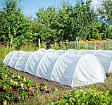 Парник теплиця 10 м мінітеплиця 60 г/м2, фото 5