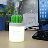 Стильний міні зволожувач повітря, аромадифузер, Кактус, 280мл, фото 4