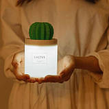 Стильний міні зволожувач повітря, аромадифузер, Кактус, 280мл, фото 7