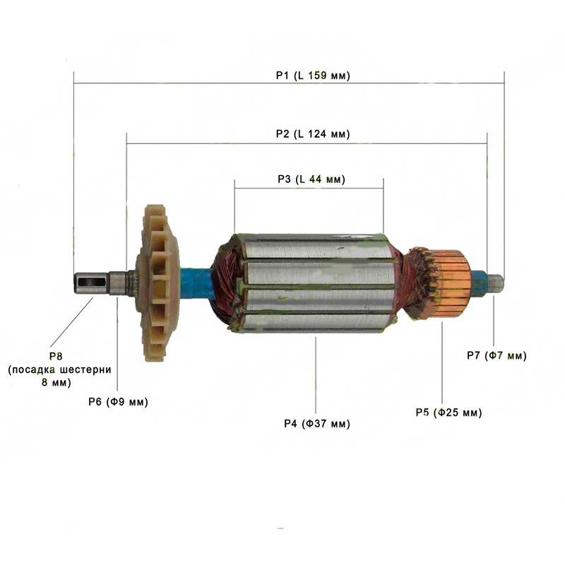 Якір на болгарку ИжМаш ИШМ-125/1070, Einhell BWS-850/125 (159×37), фото 1