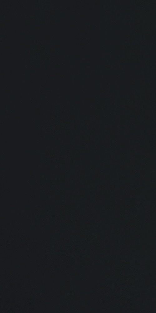 Плитка для підлоги та стін Атем Black RP BKM 295*595