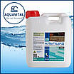 Barchemicals PG-42, Альгіцид проти водоростей (каністра 5 л), фото 2