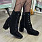 Замшеві черевики жіночі з квадратним носком. Колір чорний, фото 5