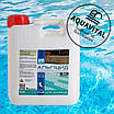 Альгіцид для боротьби з водоростями, Barchemicals PG-42 (5 л), фото 2