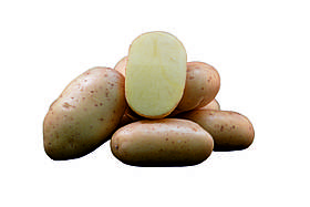 Насіннєва Картопля ТОРОНТО-5 кг
