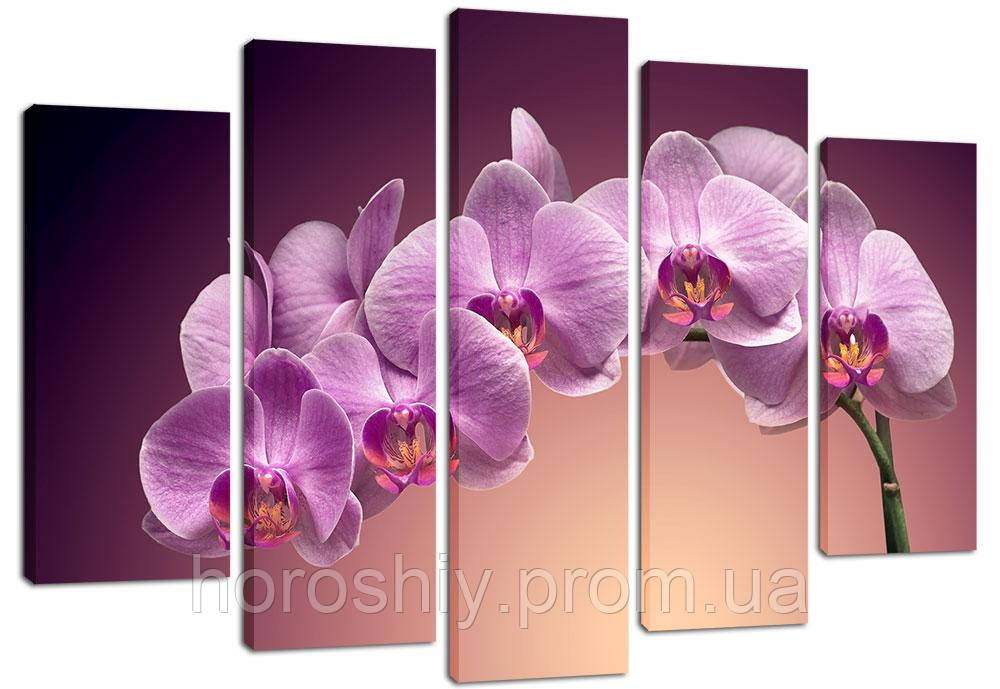 Модульна настінна картина орхідея з 5 частин на полотні з підрамником 120х80 см