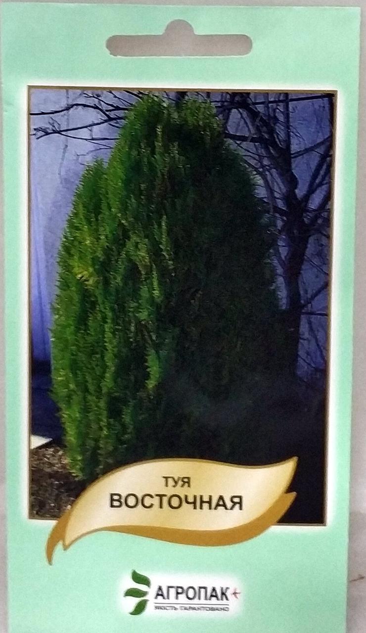 Туя східна 20н