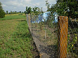 Сітка рабиця оцинкована 35/35мм дріт.2мм висота 2000мм, фото 8