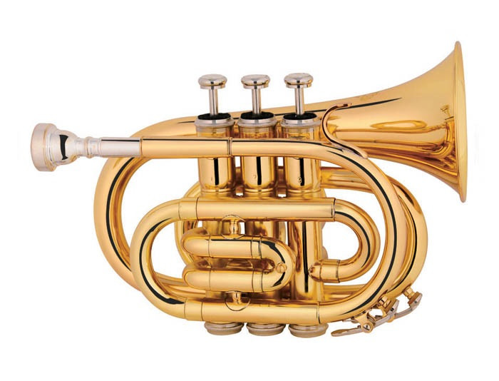 Міні руба MAXTONE TT MINI 53L