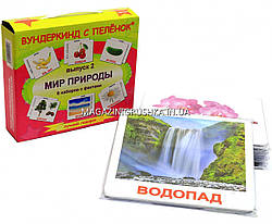 Развивающая игра Карточки Домана Выпуск 2 Мир природы «Вундеркинд с пеленок» ламинация 6 наборов 120 карточек