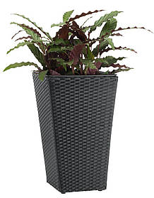 Горщик садовий чорний (штучний ротанг) висота 50см, greenpharm