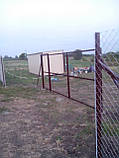 Виробництво Сітка Рабиця цинк 35*35мм висота 1.0м встановлення, фото 2