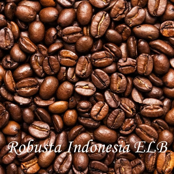 Кава зернова Robusta Indonesia ELB 19scr, 1 кг
