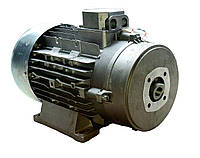 Електродвигун 7,5 кВт Mazzoni MEC 132