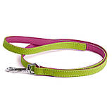 Повідець для собак дрібних порід двоколірний 1,2 м, фото 3