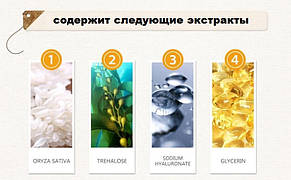Опт Сироватка для обличчя Hchana Rice Skin Beauty Essence з екстрактом білого рису 15 мл, фото 4