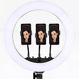 Кільцева лампа 55 см з цифровим дисплеєм Пульт Штатив 2м Професійний Кільцевої світло для блогерів, фото 3