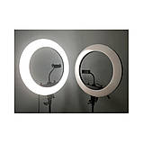 Кільцева лампа 55 см з цифровим дисплеєм Пульт Штатив 2м Професійний Кільцевої світло для блогерів, фото 5