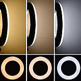 Кільцева лампа 55 см з цифровим дисплеєм Пульт Штатив 2м Професійний Кільцевої світло для блогерів, фото 4