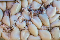 Кальмар Бебі, очищений 80+, IQF, 0,9 кг, Індія