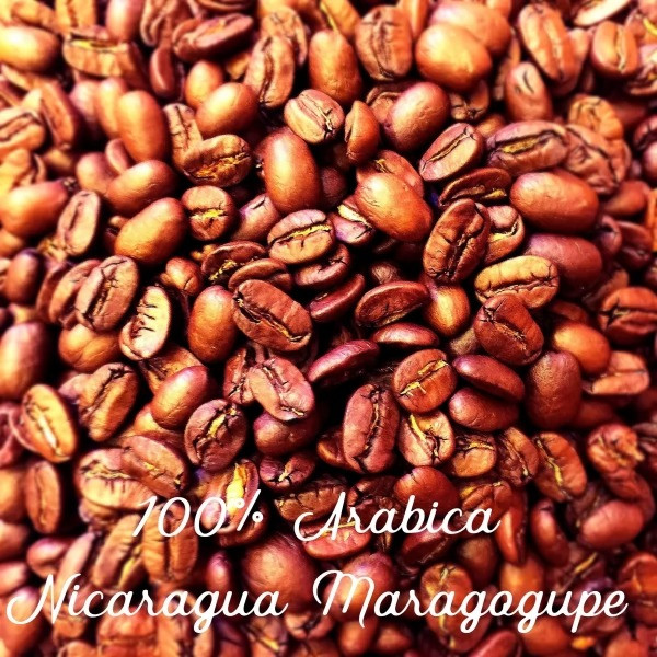 Зерновий кави Арабіка Nicaragua Maragogype 20scr, 1 кг